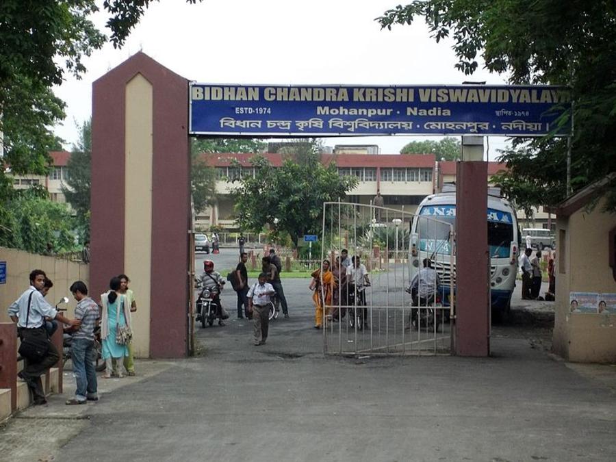 Bidhan Chandra Krishi Vishwavidyalaya: Introduction, Vision & Mission, Skill Development, University Highlights, University Ranking, Affiliations, Campus Life, Academic Programs, Admissions, Application Process, Placements, FAQs